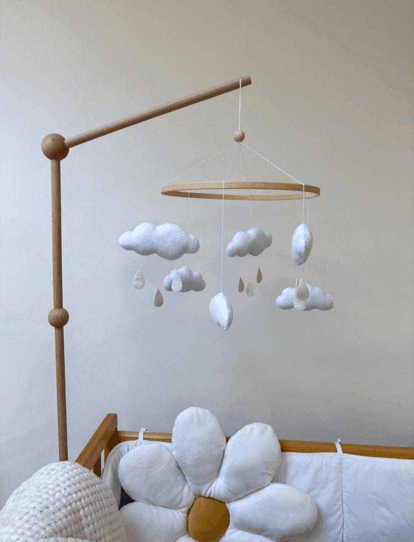 Nuage pluvieux - vue 2